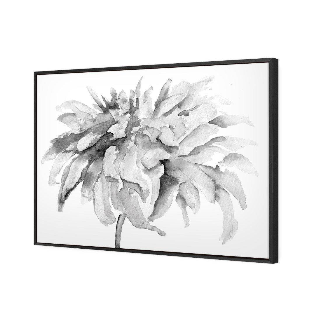Fairy Floss, B&W Canvas Art