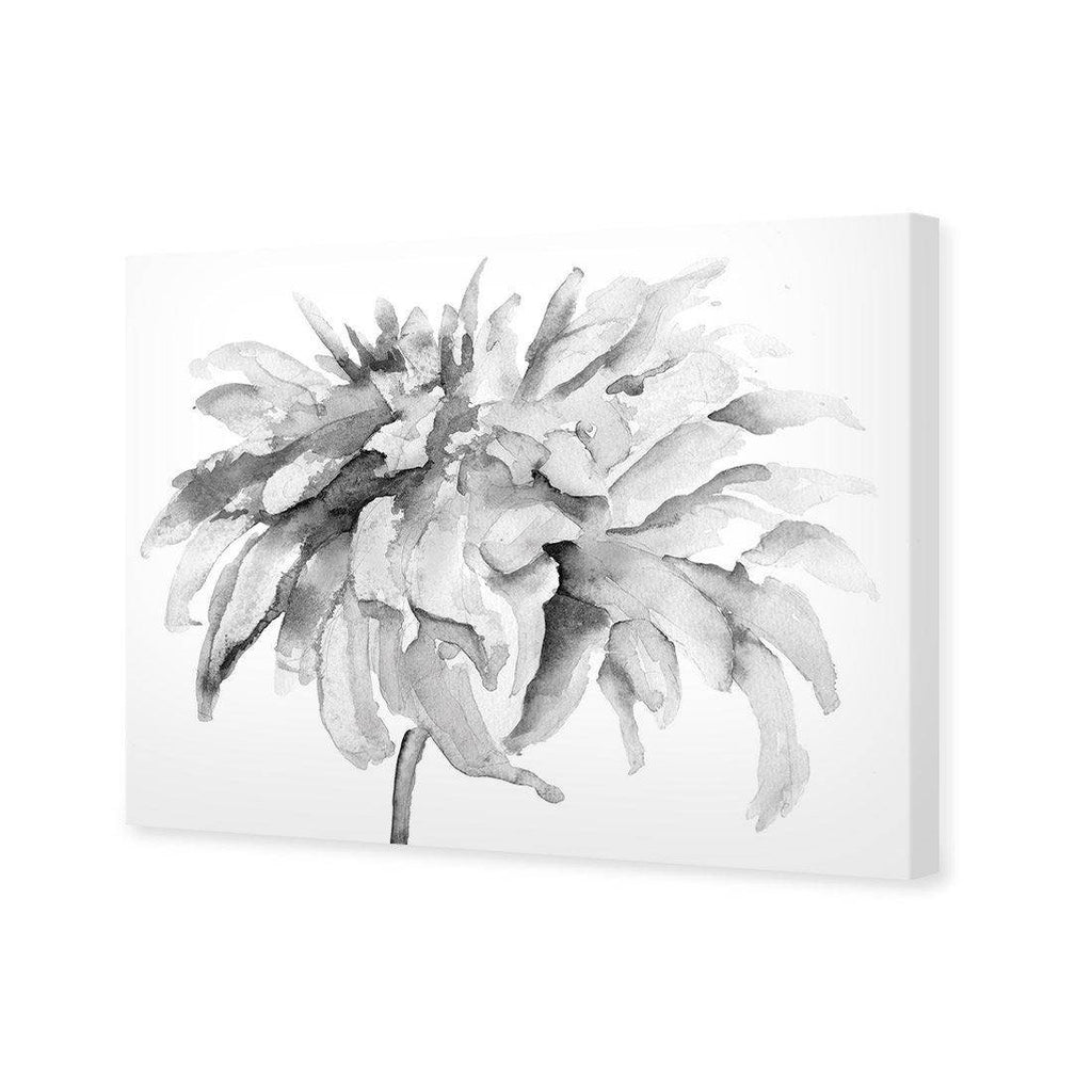 Fairy Floss, B&W Canvas Art