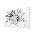 Fairy Floss, B&W Canvas Art