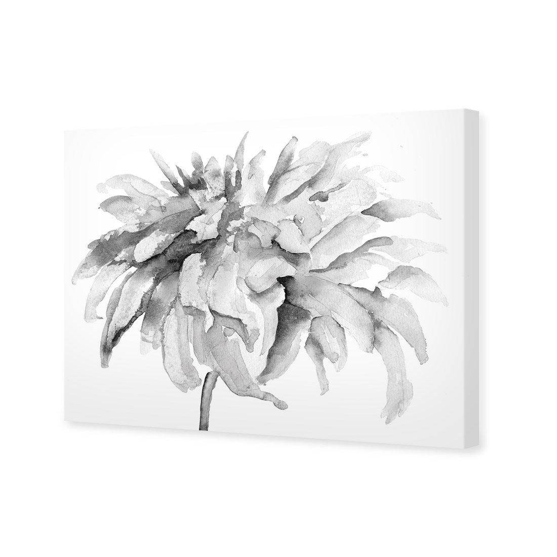Fairy Floss, B&W Canvas Art