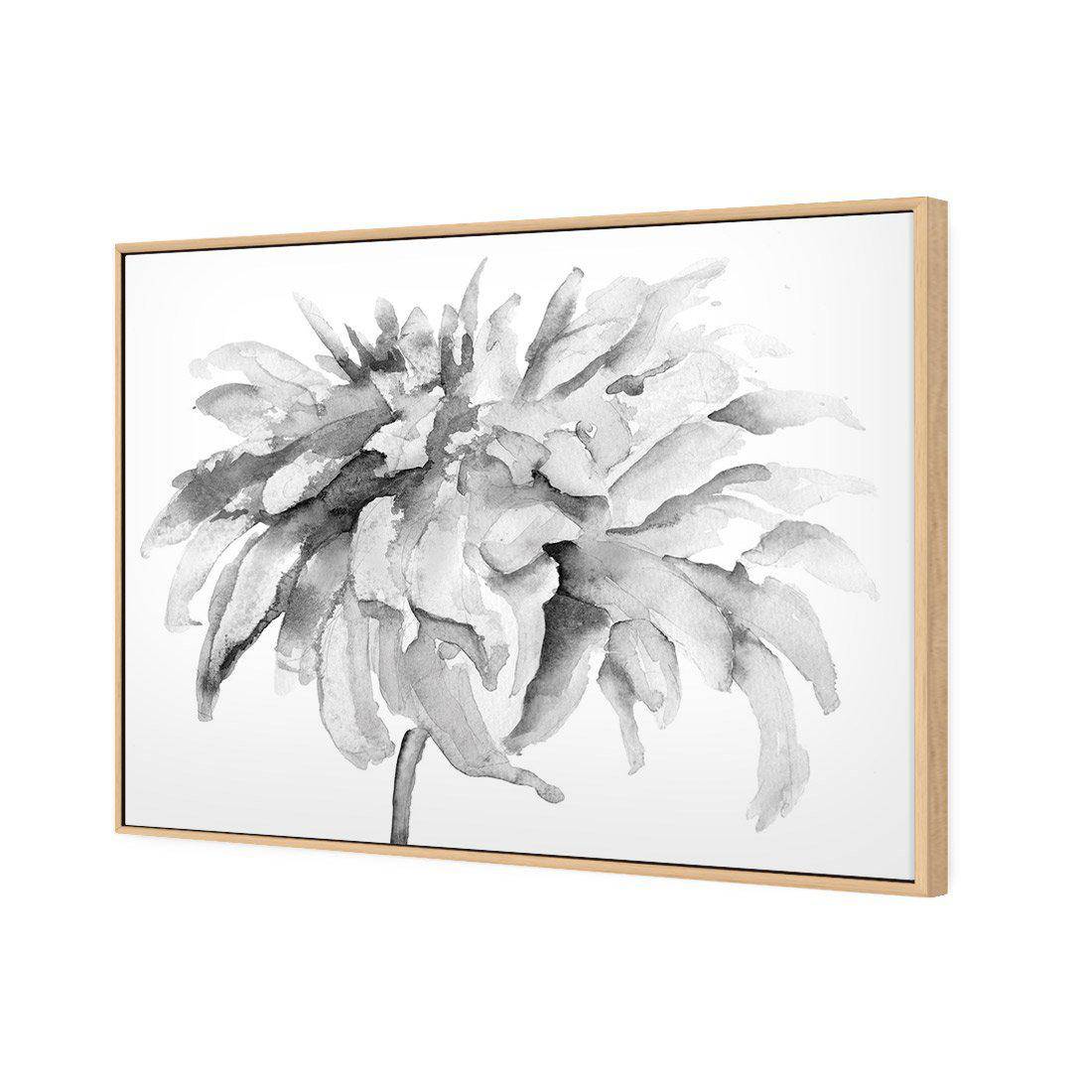 Fairy Floss, B&W Canvas Art