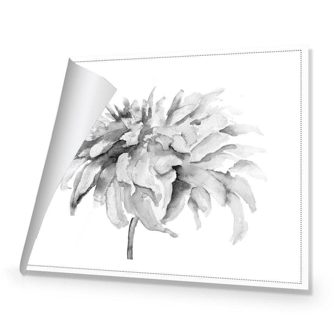 Fairy Floss, B&W Canvas Art