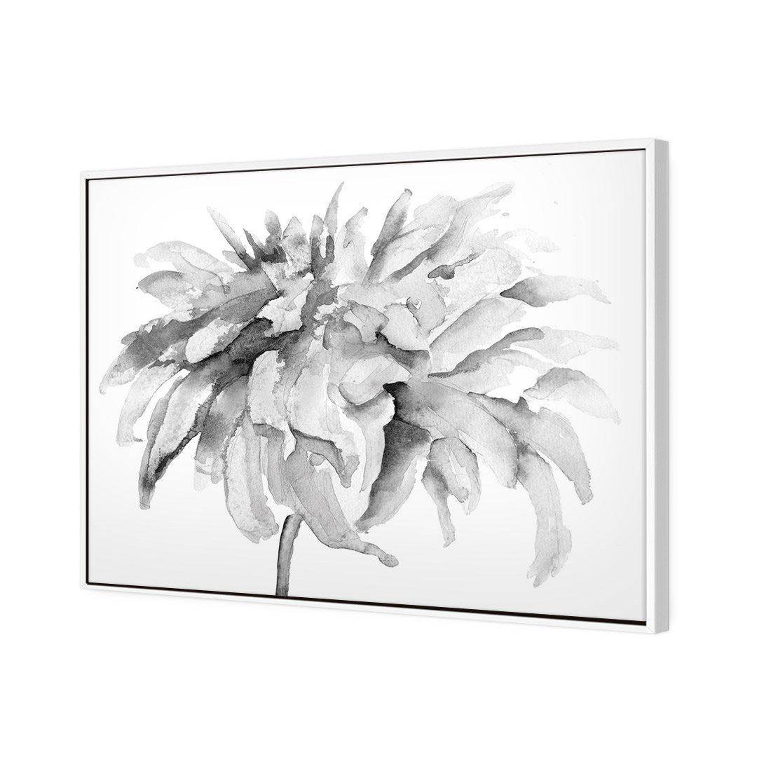 Fairy Floss, B&W Canvas Art
