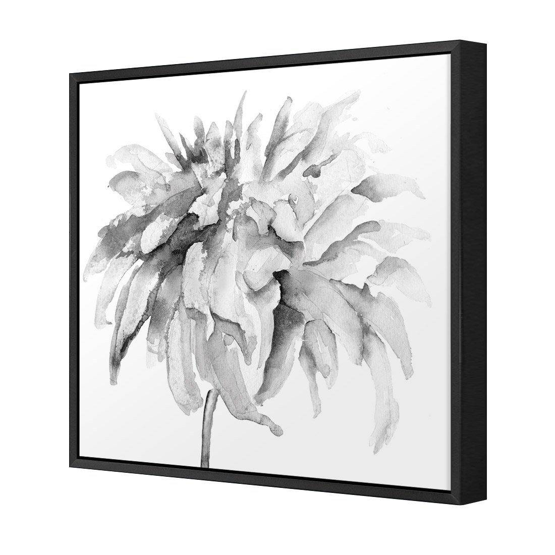 Fairy Floss, B&W, Square Canvas Art