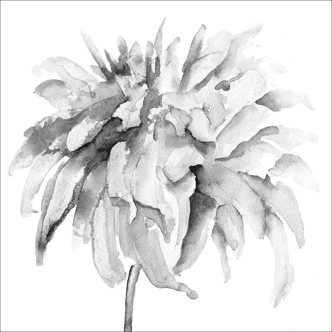 Fairy Floss, B&W, Square Canvas Art
