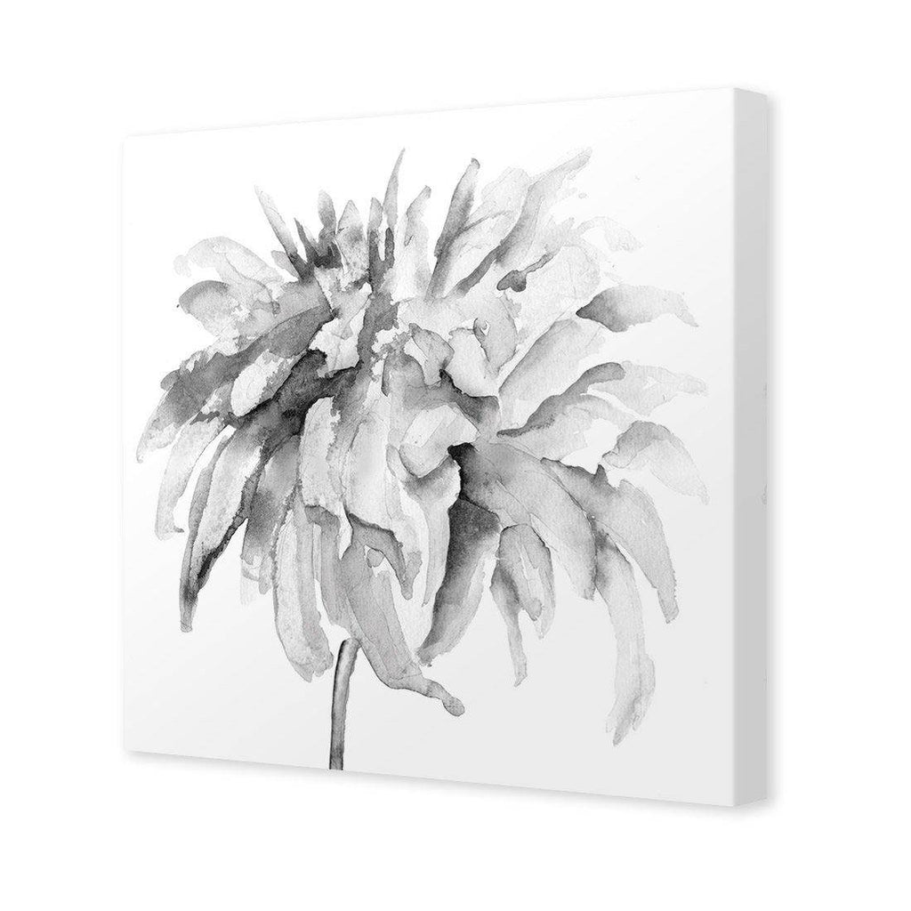 Fairy Floss, B&W, Square Canvas Art