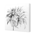 Fairy Floss, B&W, Square Canvas Art
