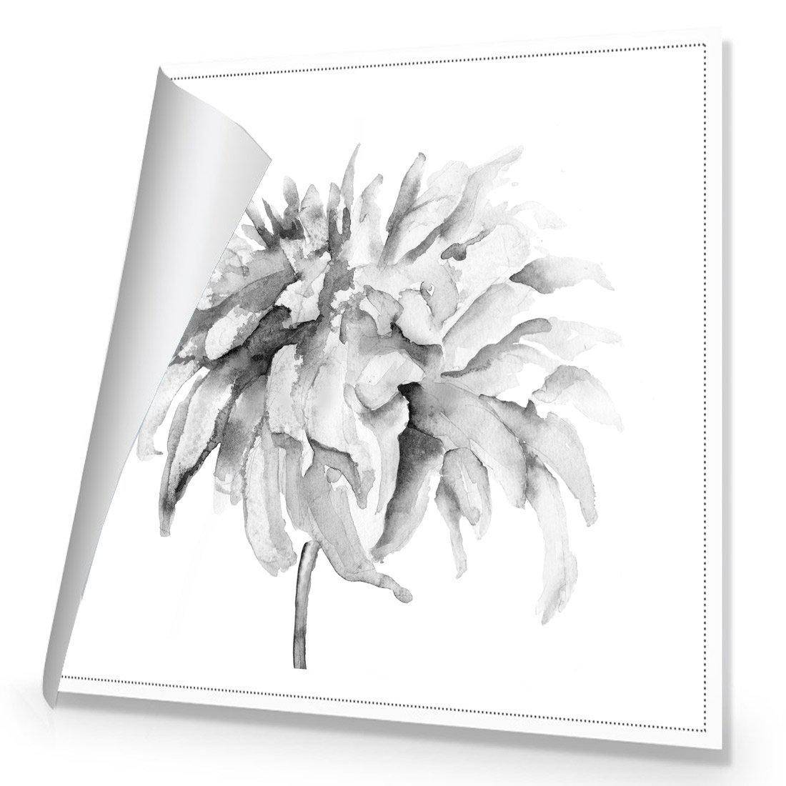 Fairy Floss, B&W, Square Canvas Art
