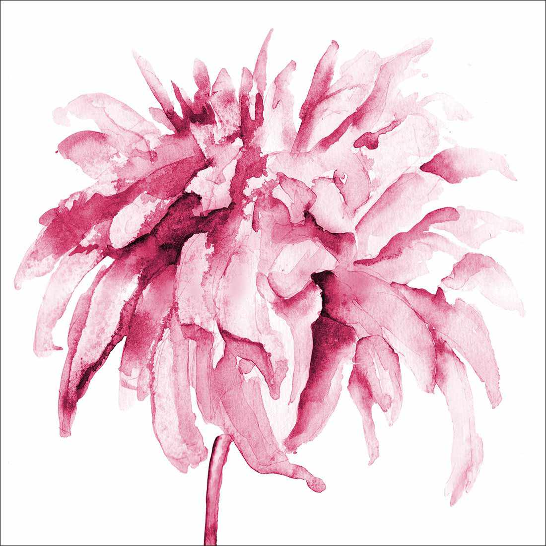 Fairy Floss, Pink Square Canvas Art