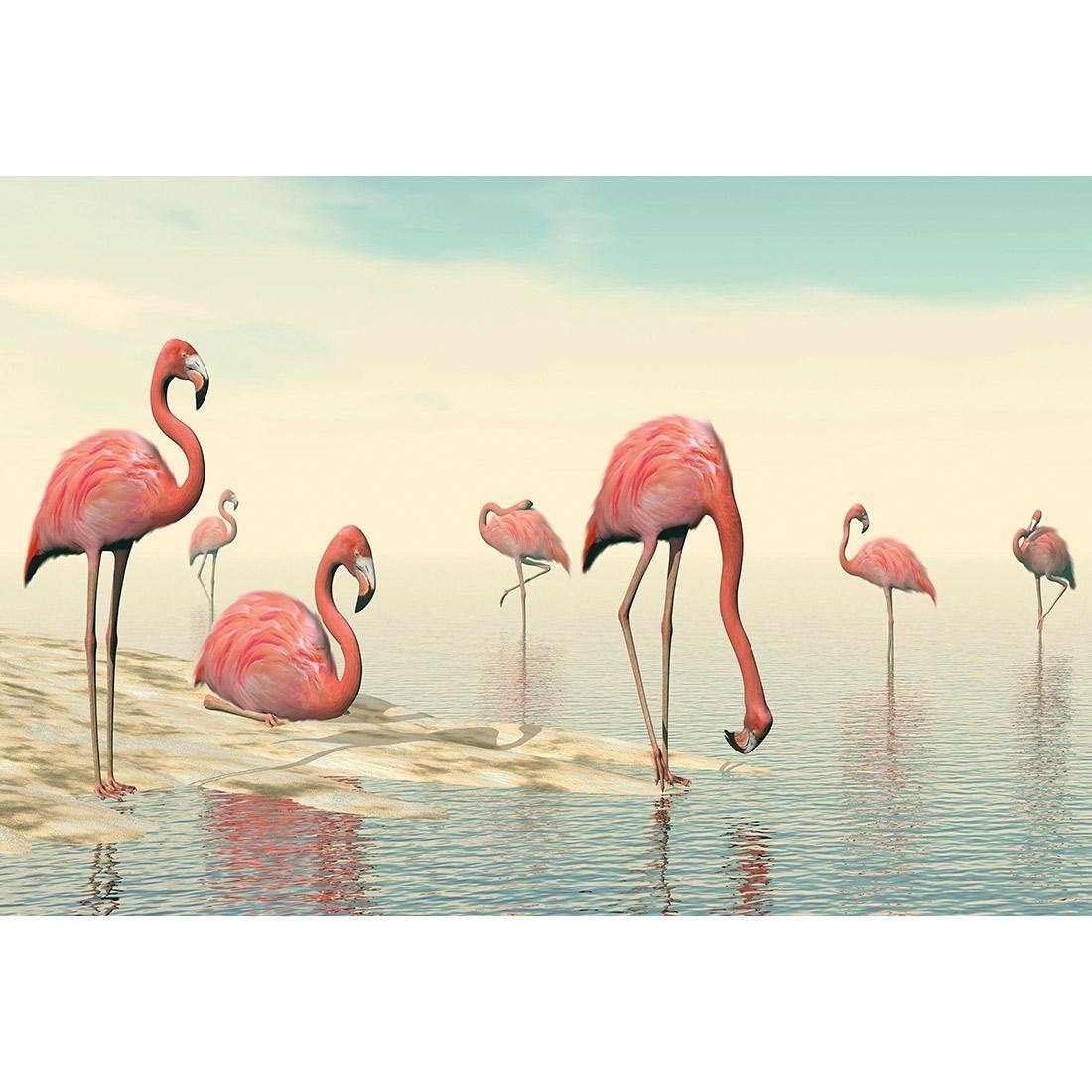 Flamingo Chill