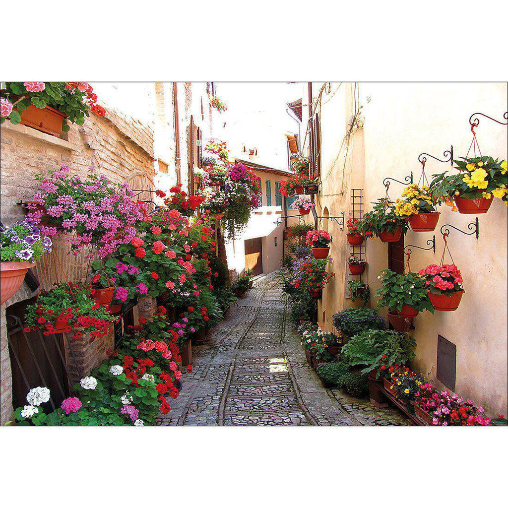 Floral Alley In Italy Canvas Art