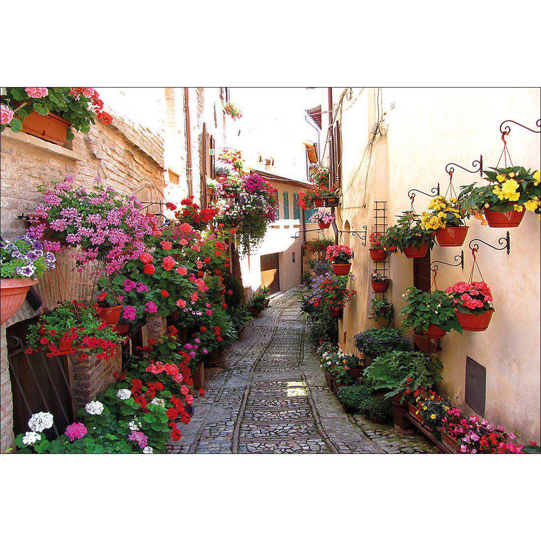 Floral Alley In Italy Canvas Art