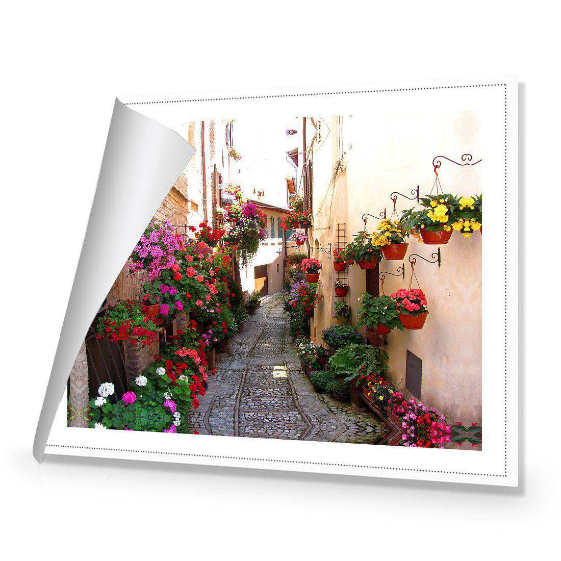 Floral Alley In Italy Canvas Art