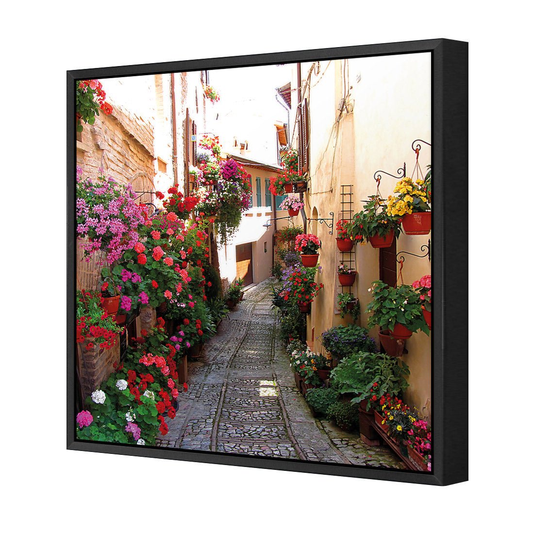 Floral Alley in Italy (square)