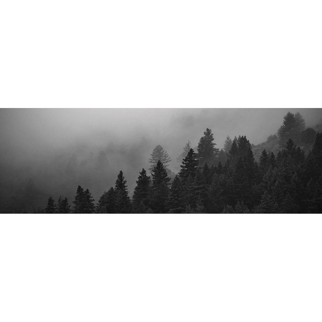 Forest Fog, Black and White (Long)