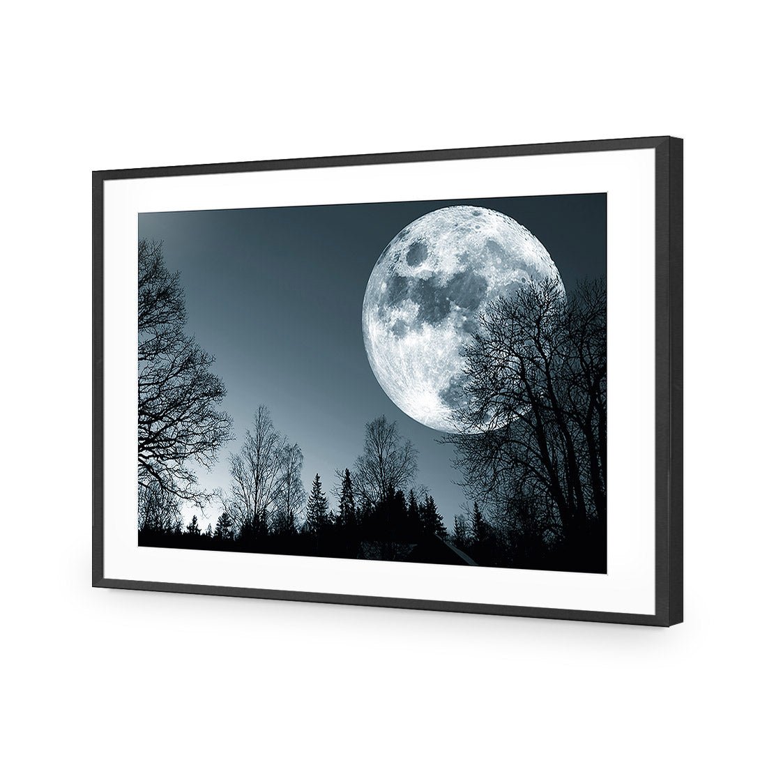 Forest Moon Acrylic Print Art