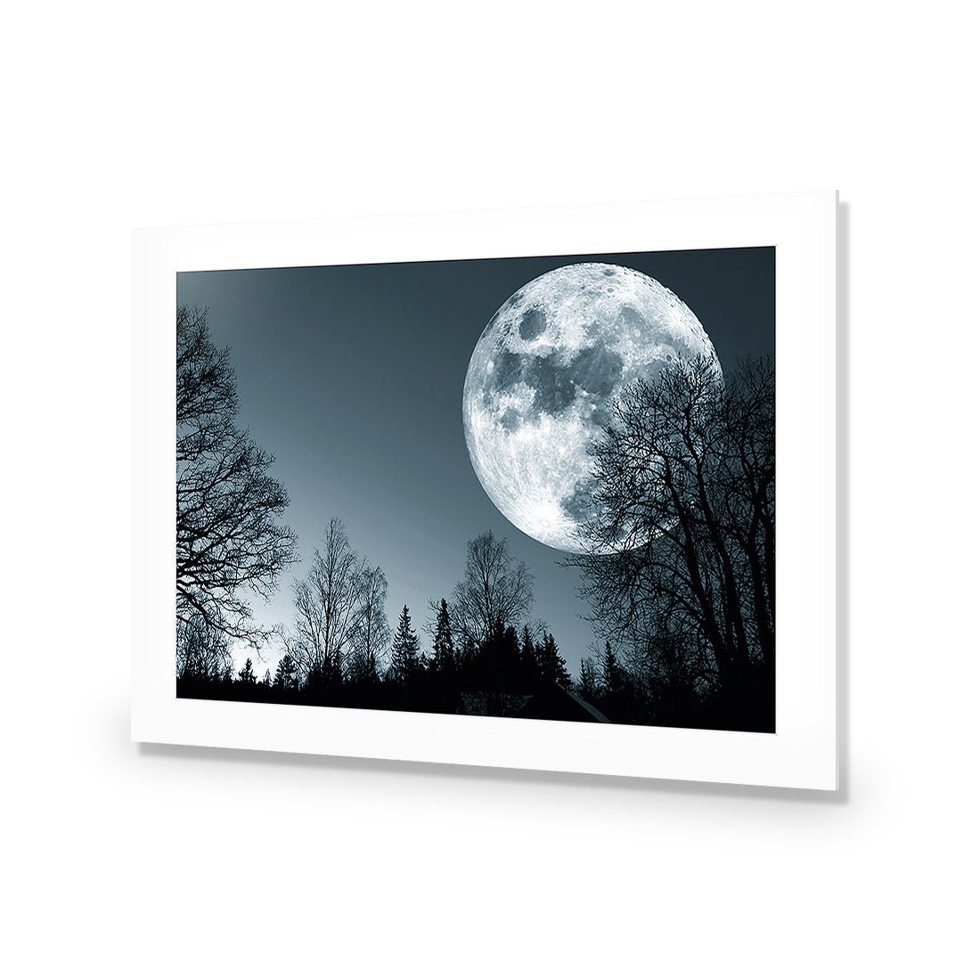 Forest Moon Acrylic Print Art