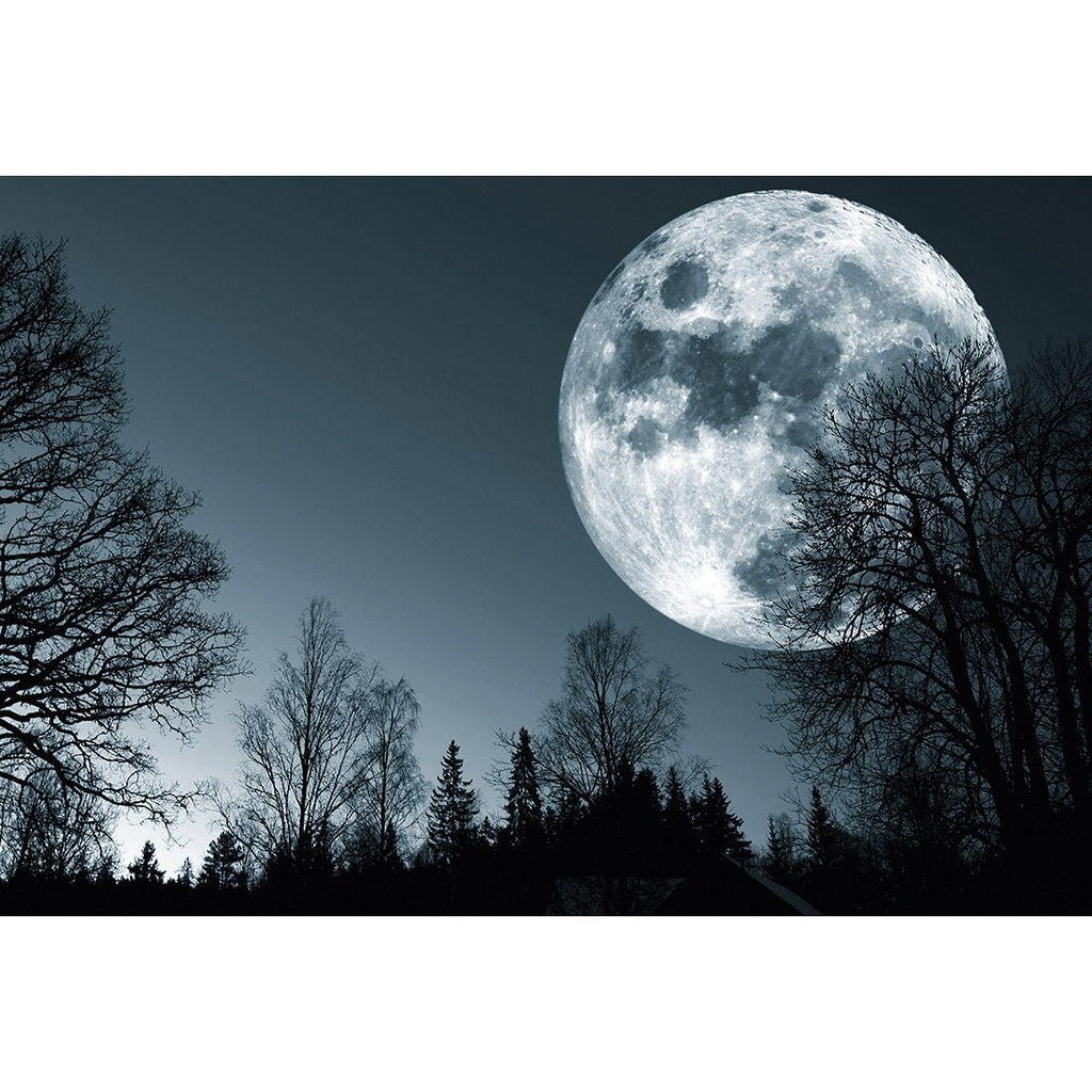 Forest Moon Acrylic Print Art