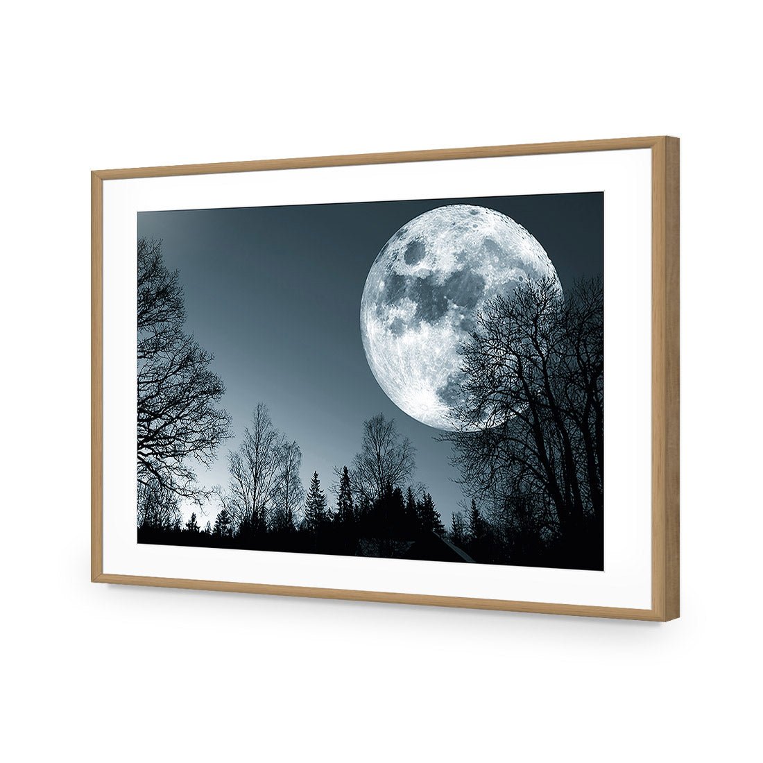 Forest Moon Acrylic Print Art