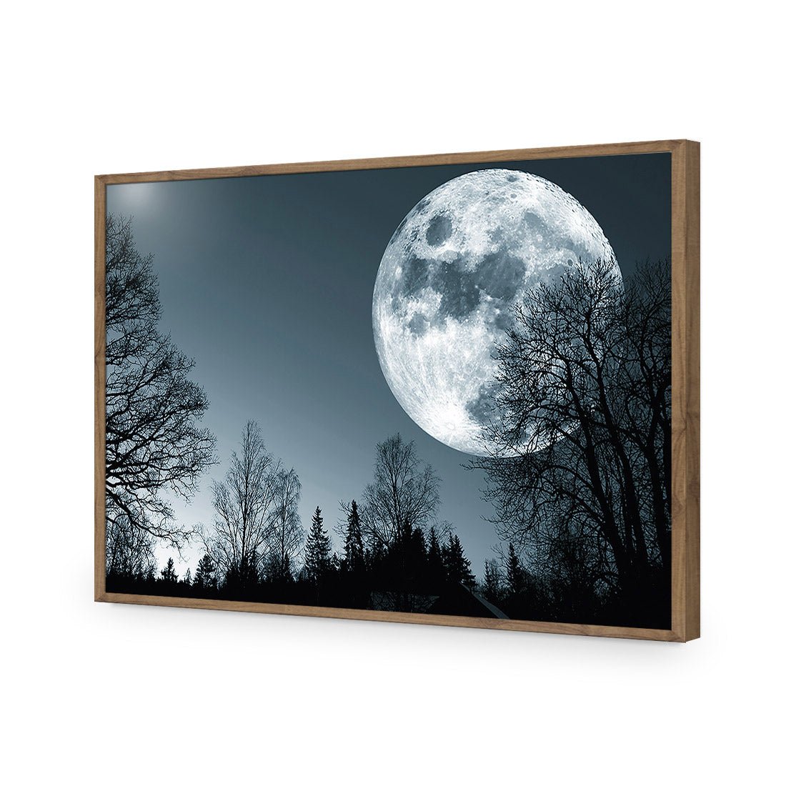Forest Moon Acrylic Print Art