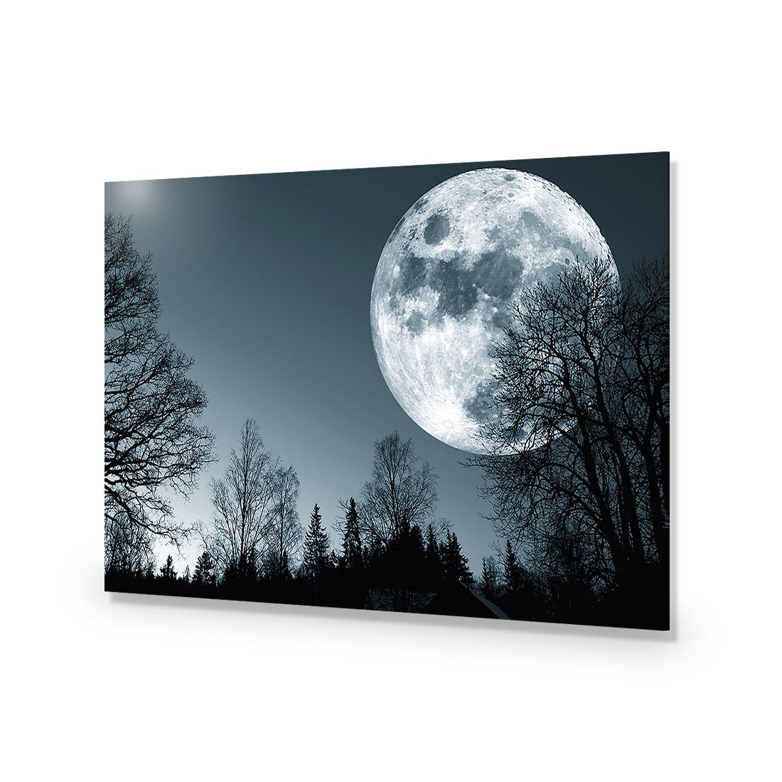 Forest Moon Acrylic Print Art