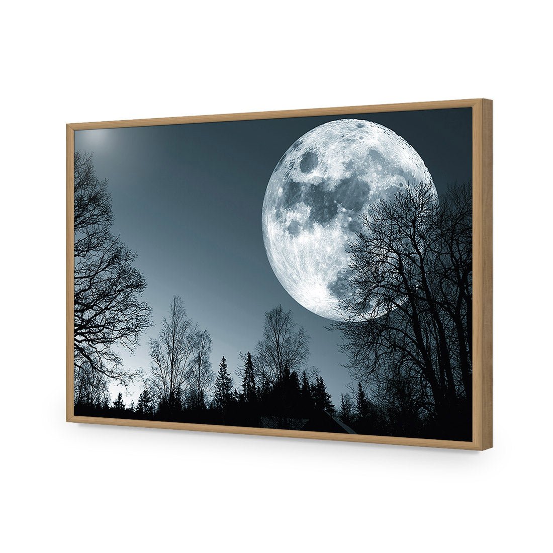 Forest Moon Acrylic Print Art
