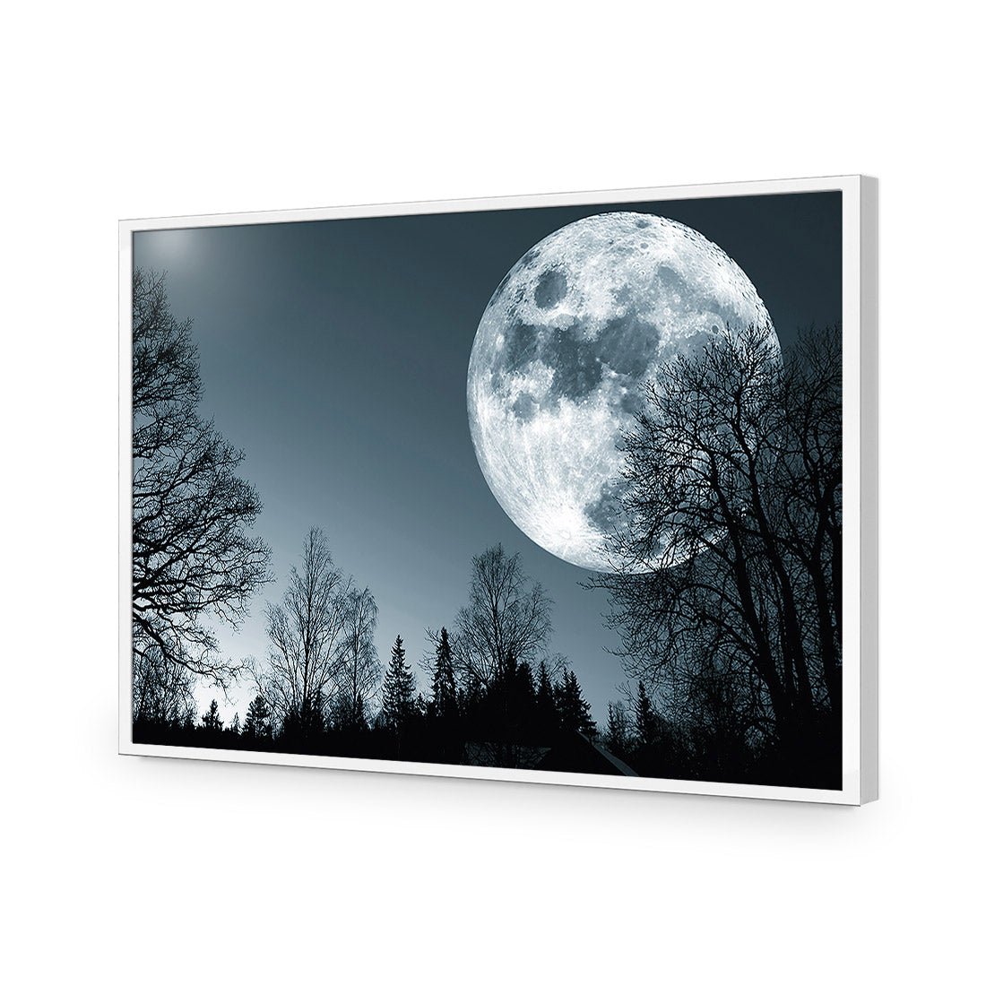 Forest Moon Acrylic Print Art
