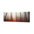 Forest of Fire (long)