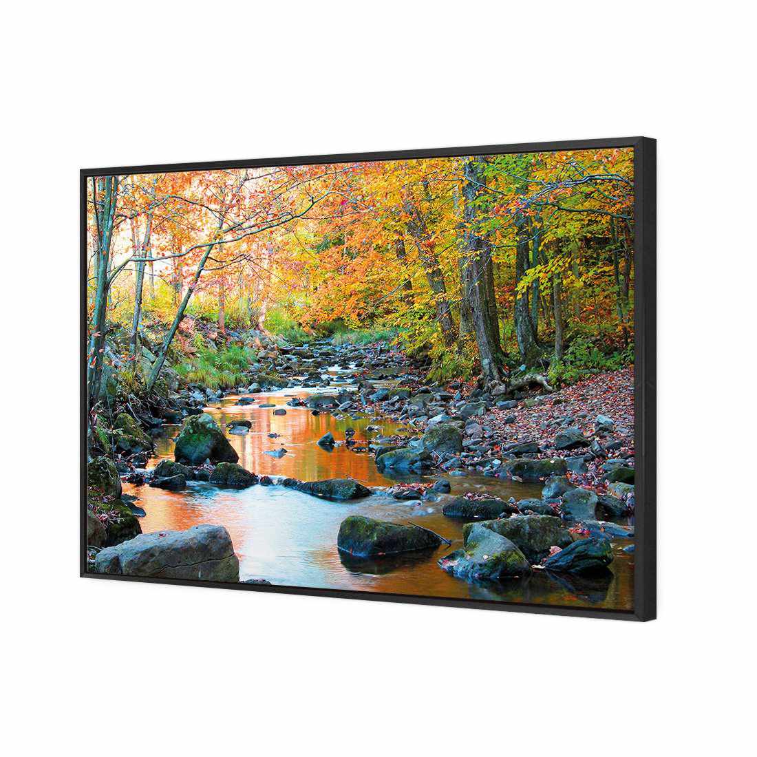 Forest Stream Canvas Art