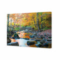 Forest Stream Canvas Art