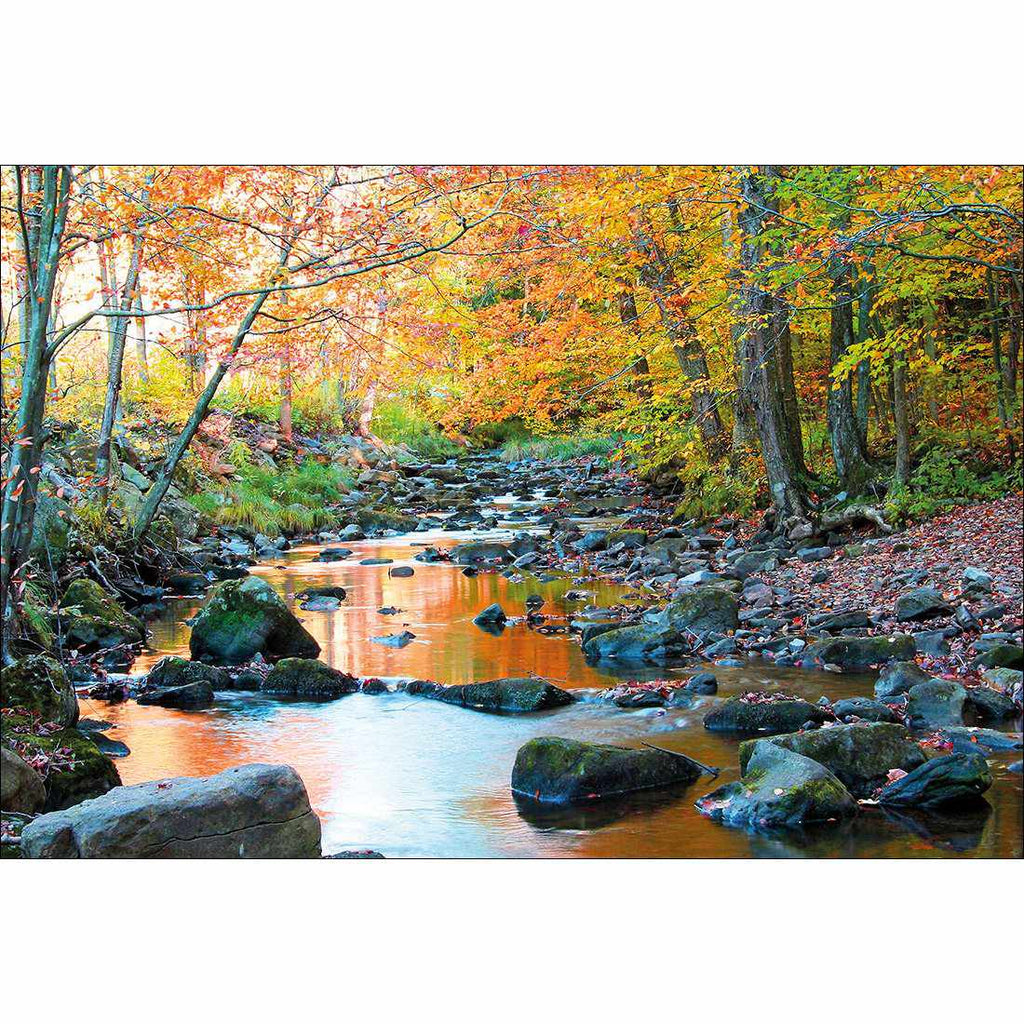 Forest Stream Canvas Art