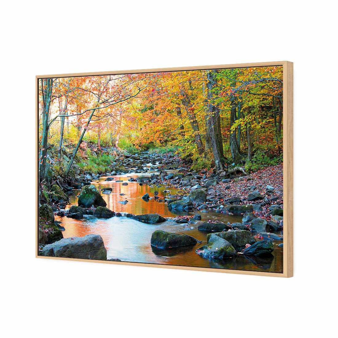 Forest Stream Canvas Art