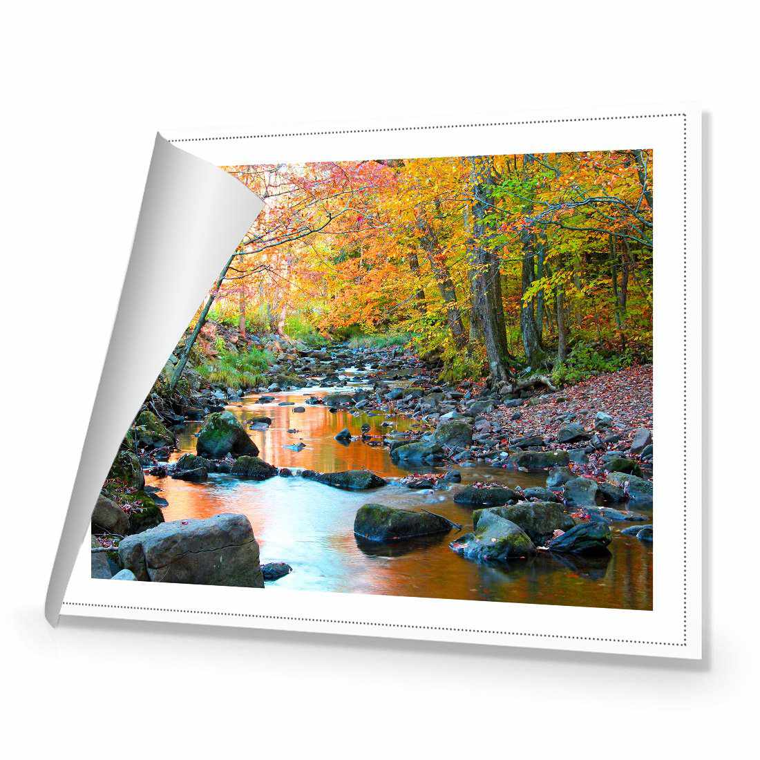 Forest Stream Canvas Art