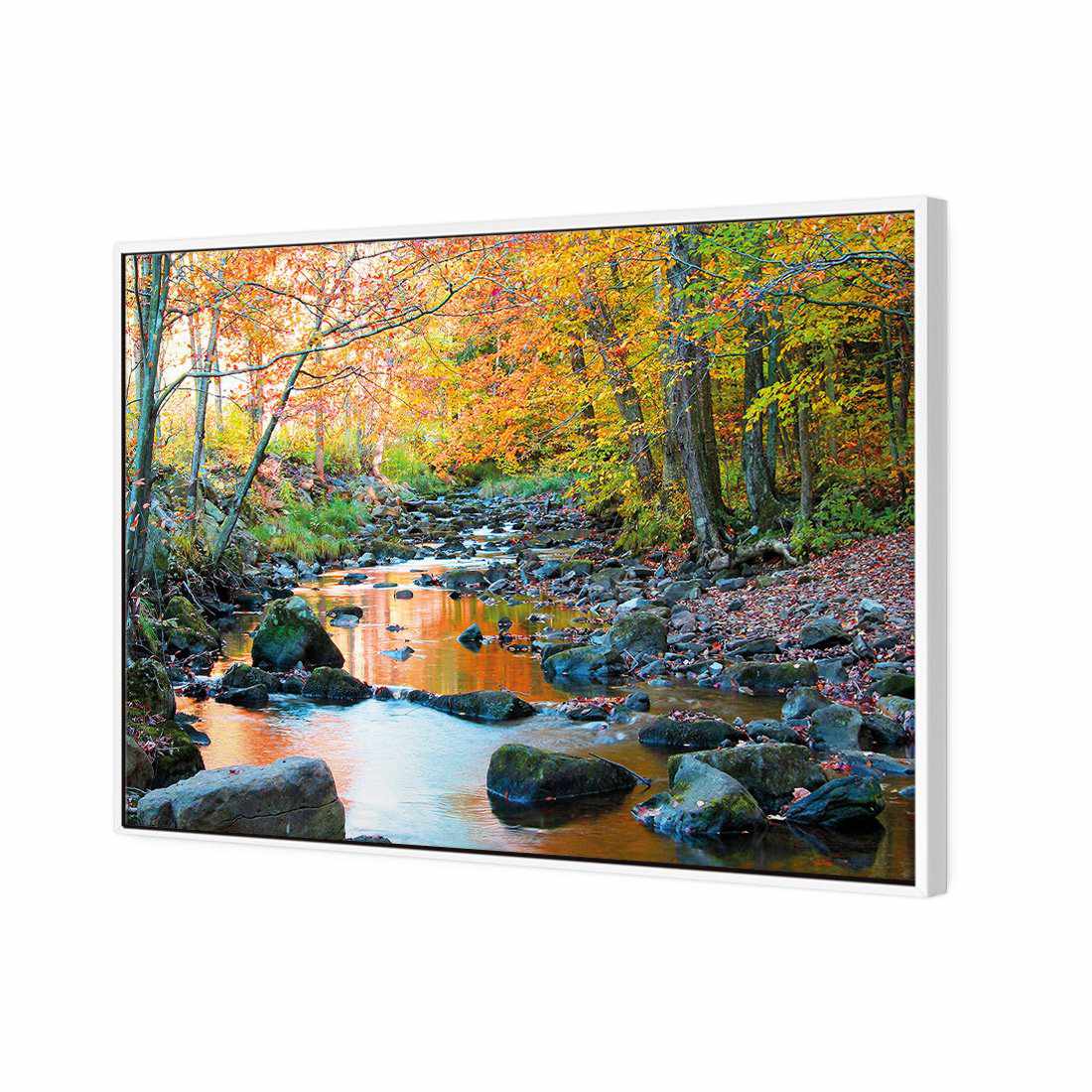 Forest Stream Canvas Art