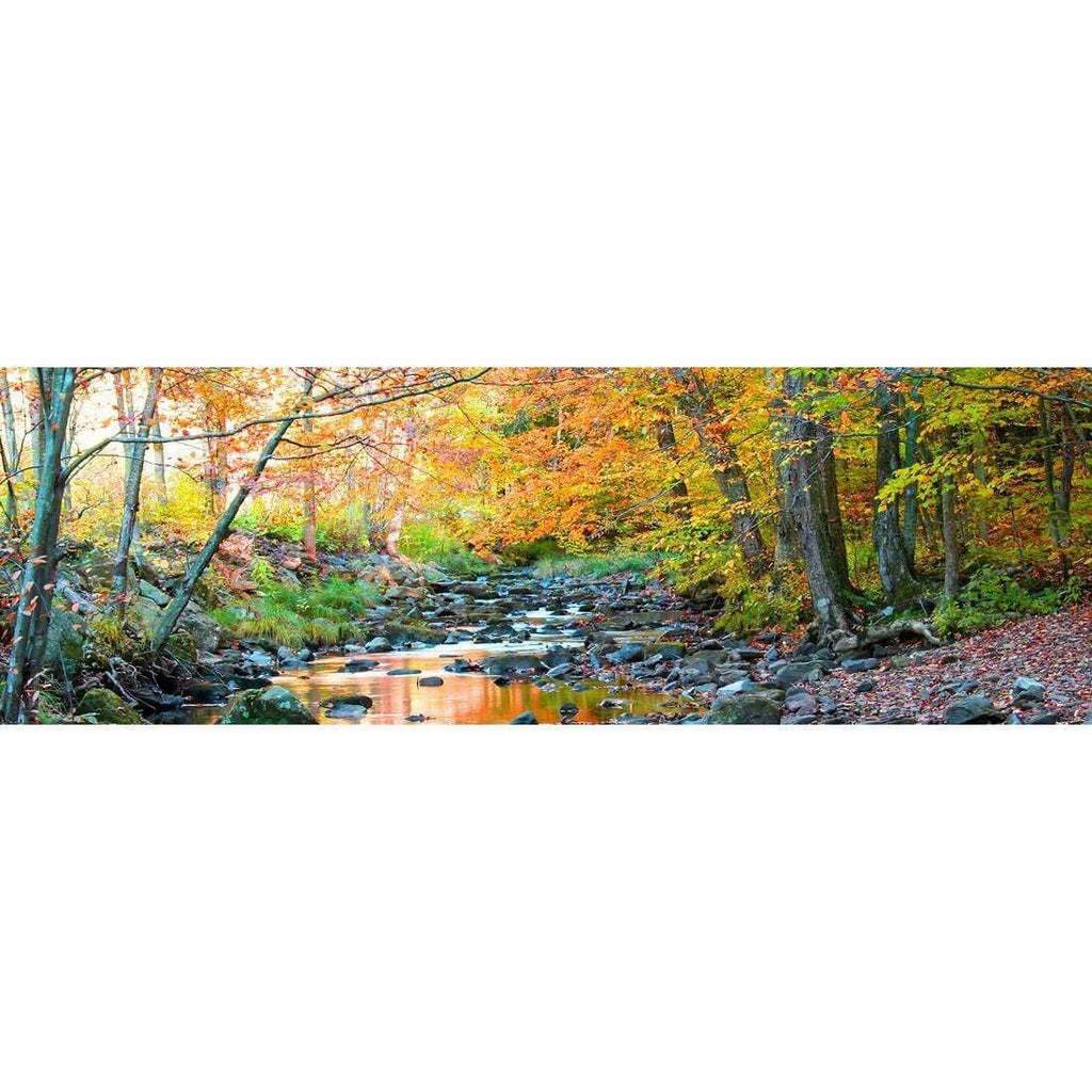 Forest Stream (Long)