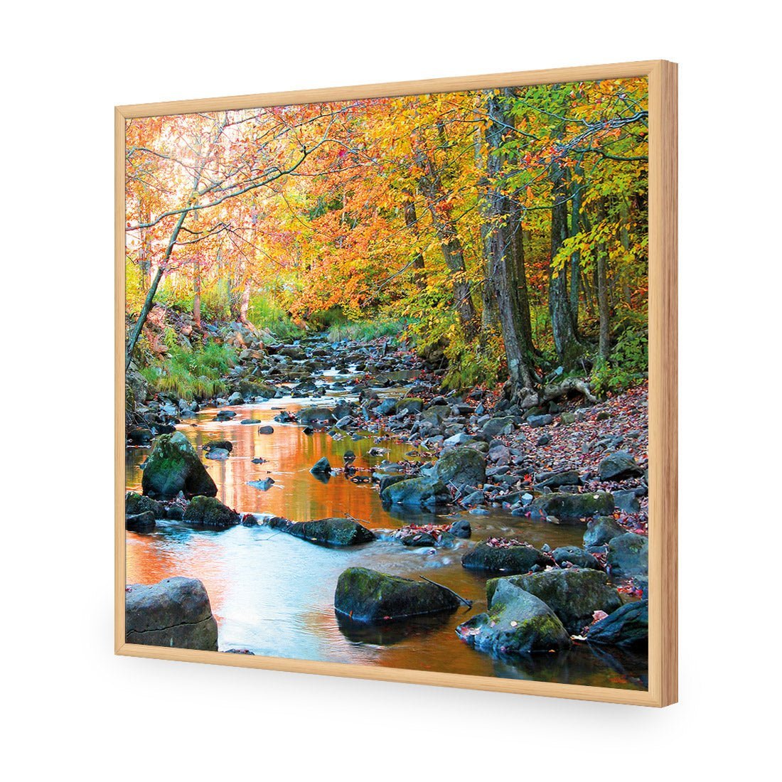 Forest Stream (square)
