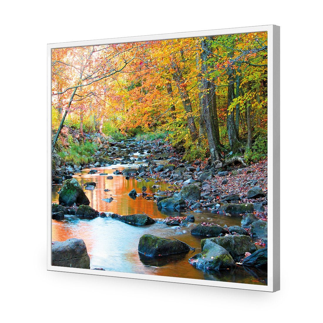 Forest Stream (square)