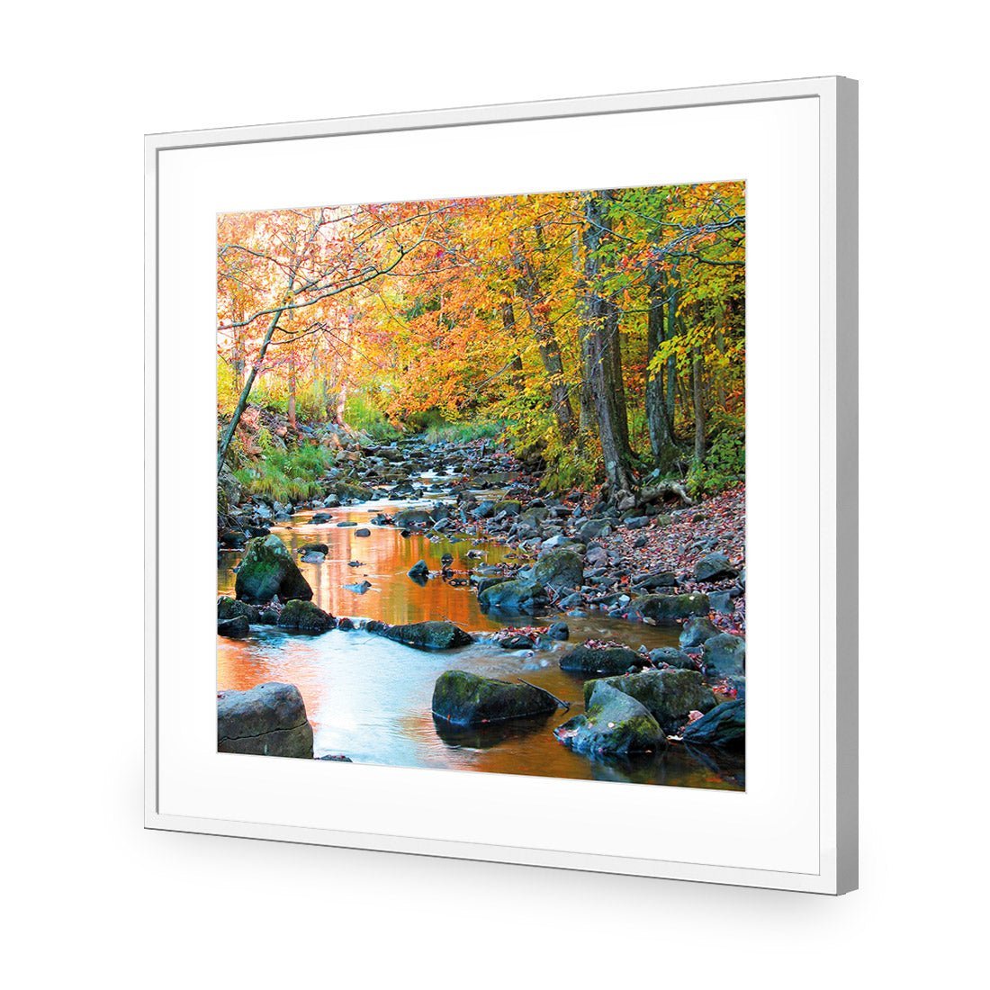 Forest Stream (square)