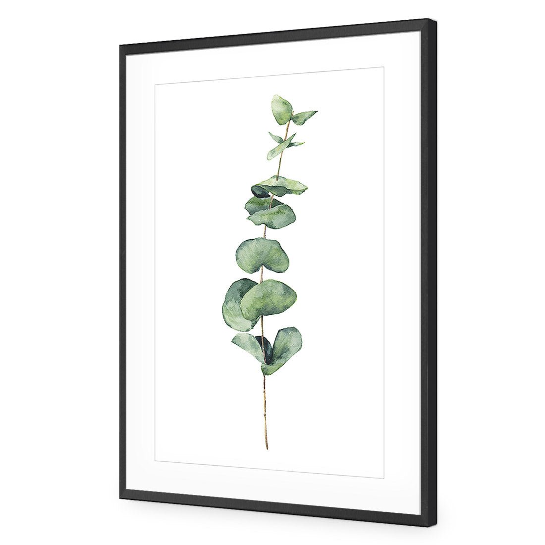 Fragrant Herb 2 Acrylic Print Art