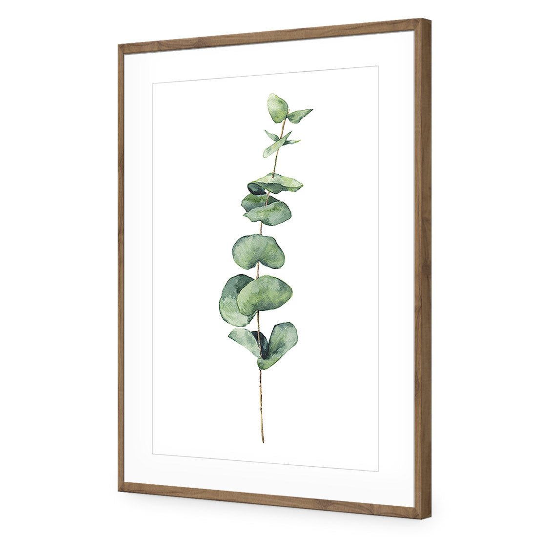 Fragrant Herb 2 Acrylic Print Art