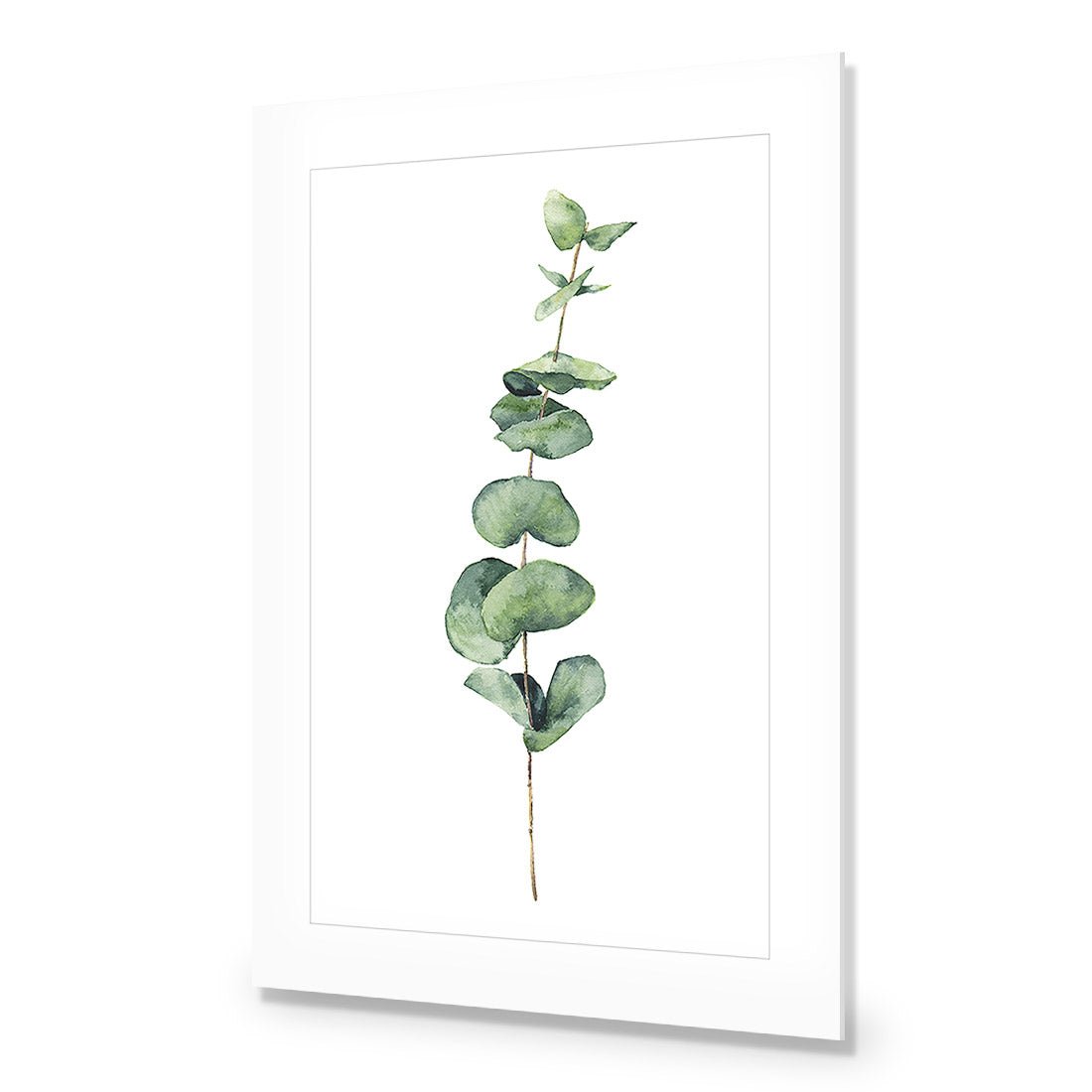 Fragrant Herb 2 Acrylic Print Art