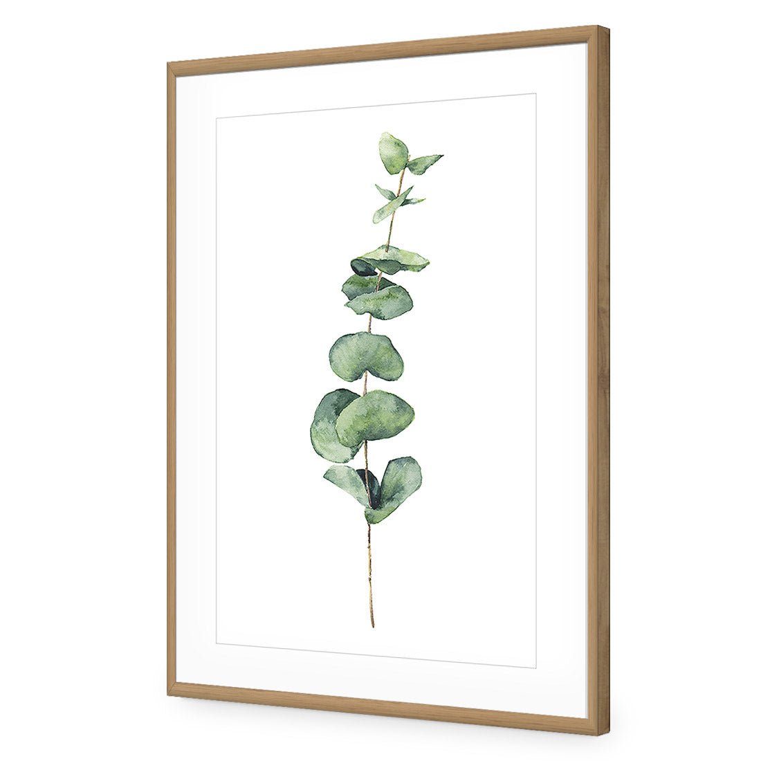 Fragrant Herb 2 Acrylic Print Art