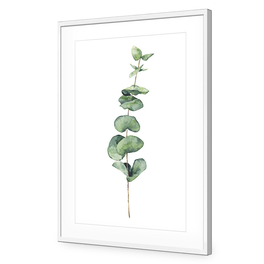 Fragrant Herb 2 Acrylic Print Art