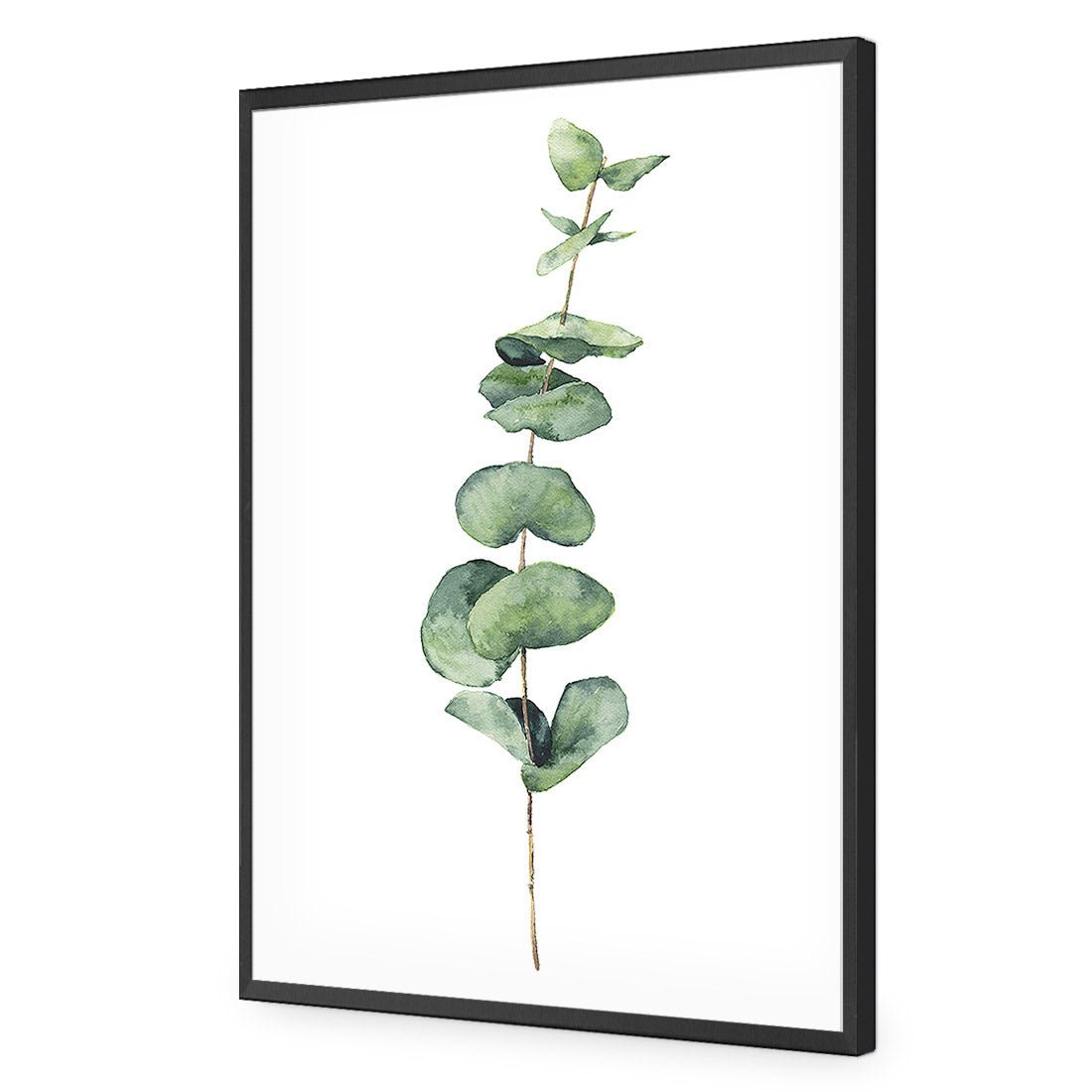 Fragrant Herb 2 Acrylic Print Art