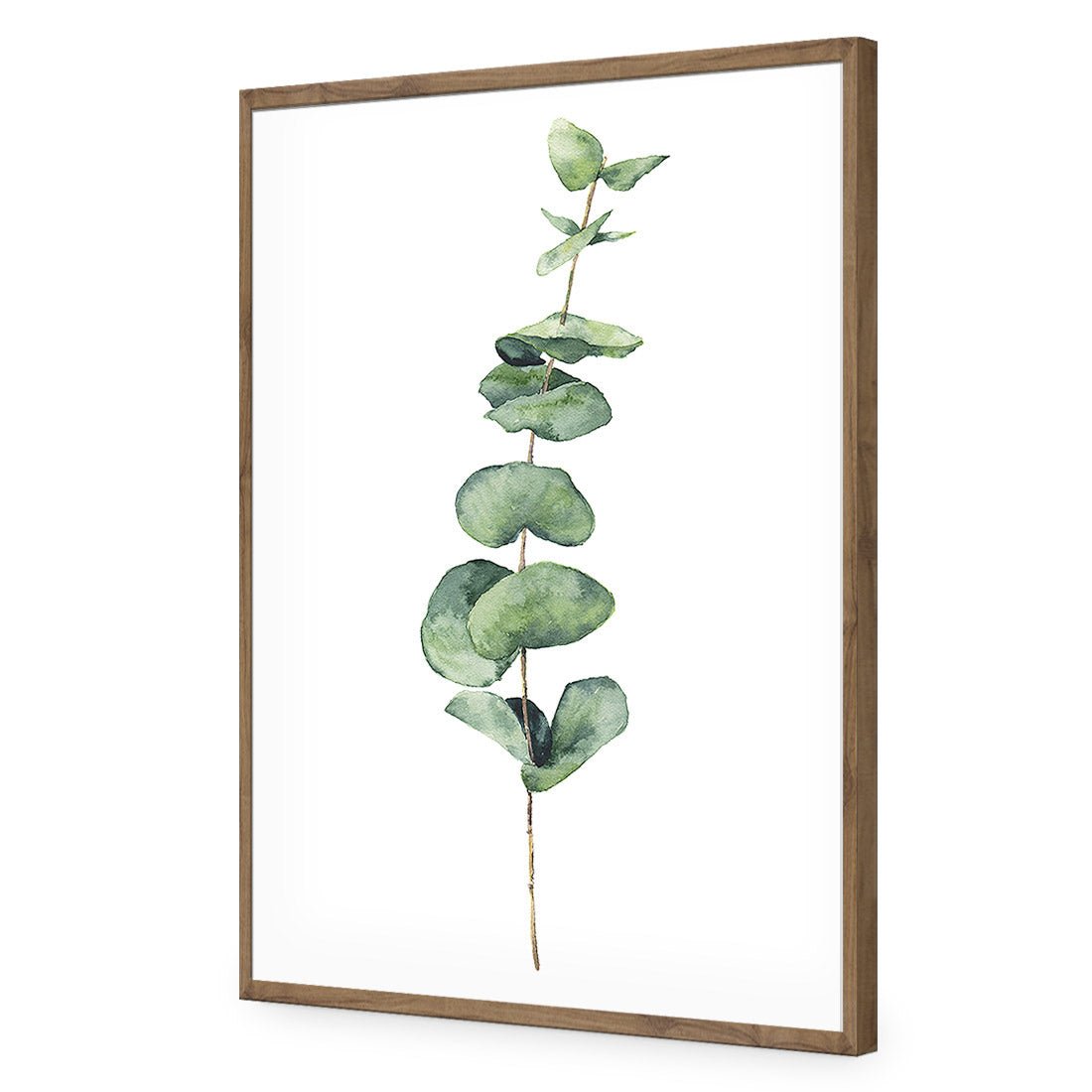 Fragrant Herb 2 Acrylic Print Art