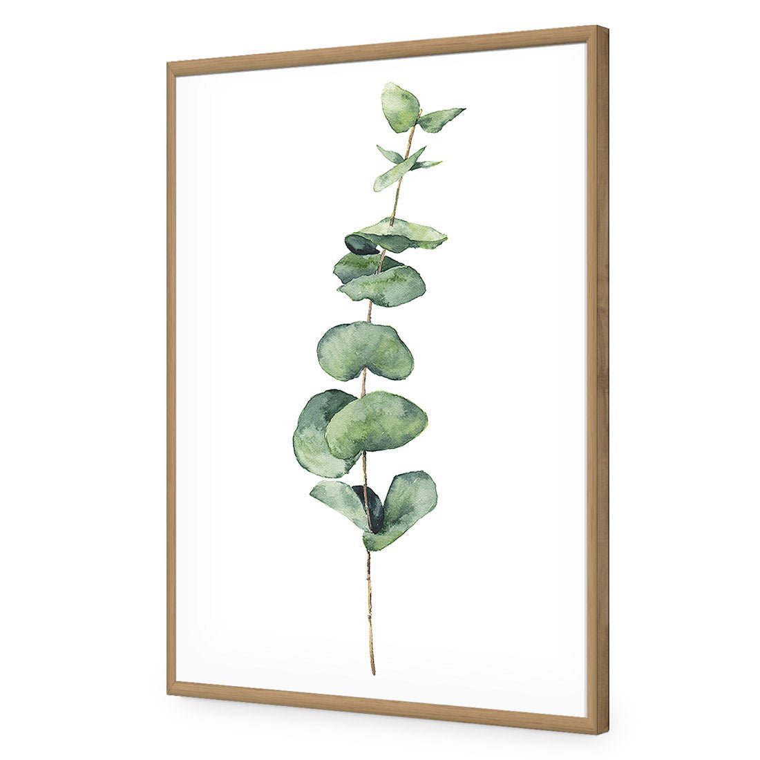 Fragrant Herb 2 Acrylic Print Art