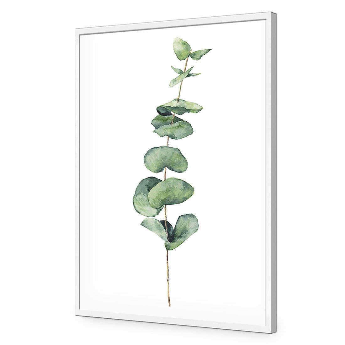 Fragrant Herb 2 Acrylic Print Art