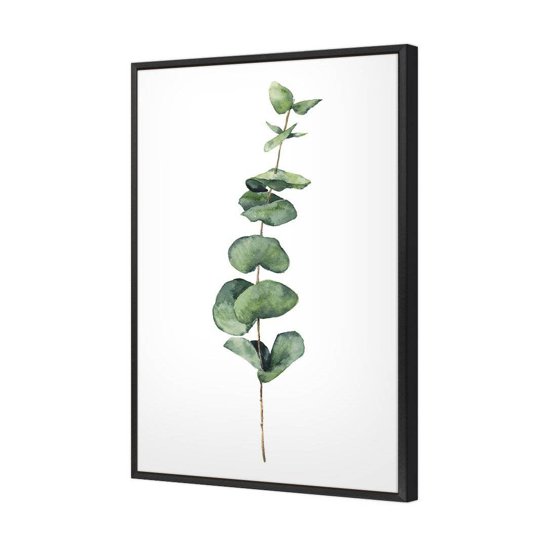 Fragrant Herb 2 Canvas Art
