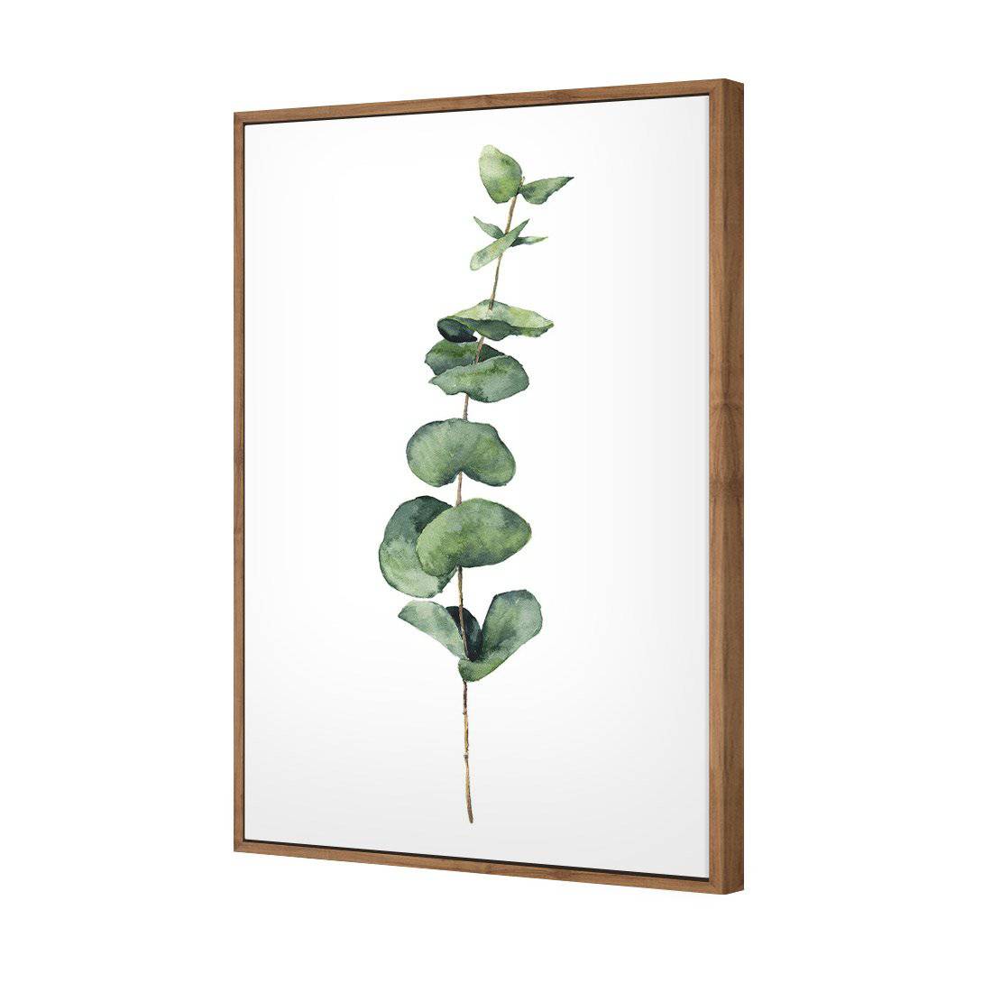 Fragrant Herb 2 Canvas Art