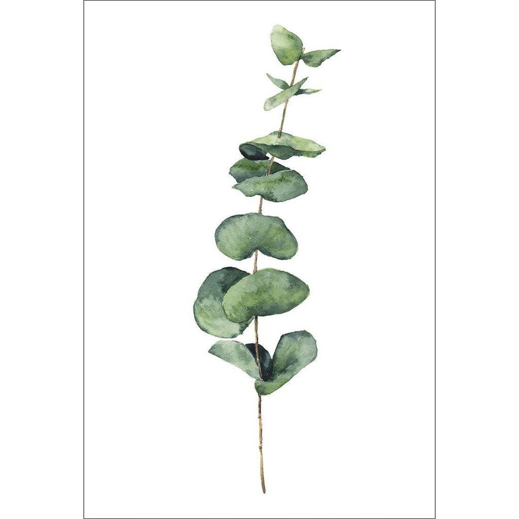 Fragrant Herb 2 Canvas Art